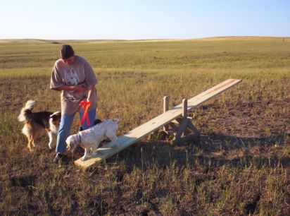 See Saw