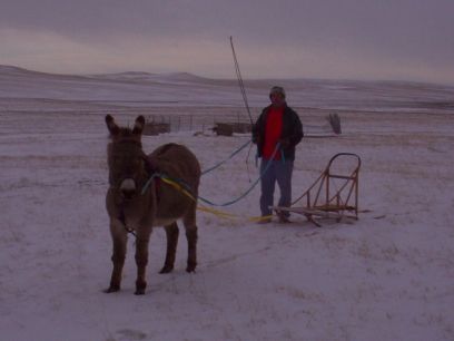 Deron & Abby with the sled