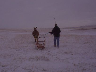 Deron & Abby with the sled