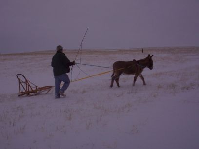 Deron & Abby with the sled