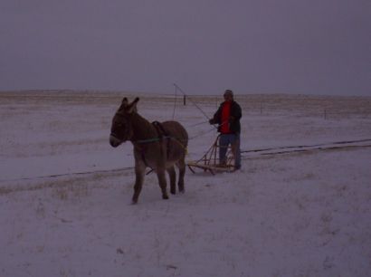 Deron & Abby with the sled