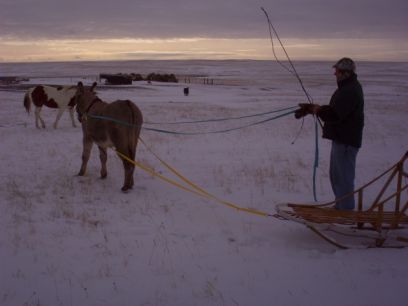 Deron & Abby with the sled