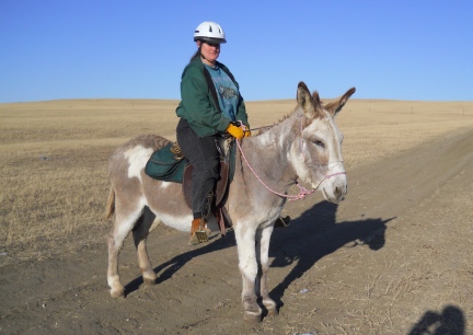 Marna's first ride on Jasper  2011-11-07