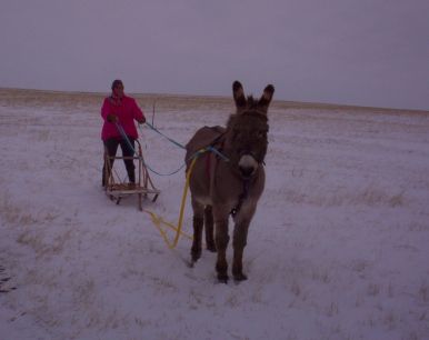 Marna & Abby with the sled