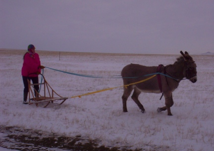 Marna & Abby with the sled