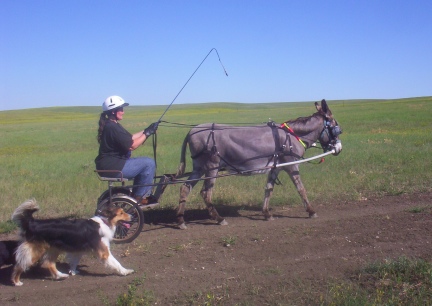 Marna Driving Abby