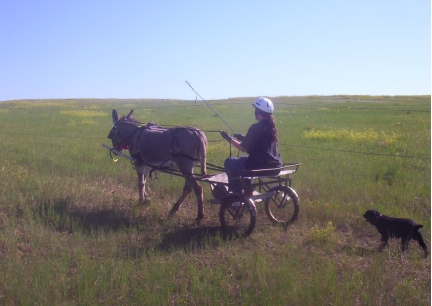 Marna Driving Abby