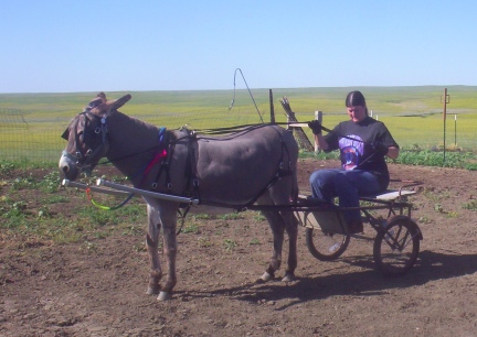 Marna Preparing To Drive Abby