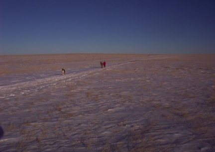 Training Out On The Prairie