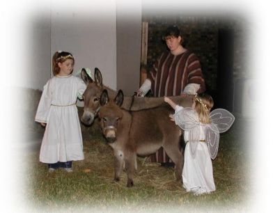 Marion's Donkeys & Angels