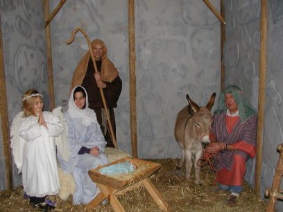 Marion's Daddy's Darlin' Donkeys 2004 Nativity Scene