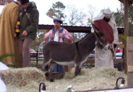 Mighty Small Wilbur in a Nativity scene float