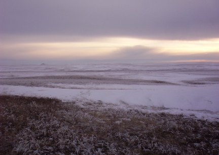 Dreary Winter Day