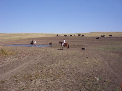 Marna riding up on MC at a pond